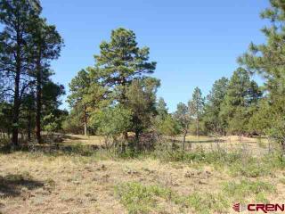 1230 Marmot Dr, Ridgway, CO 81432-8915