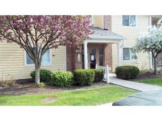 1009 Cedar Ridge Dr, Cincinnati OH  45245-3056 exterior