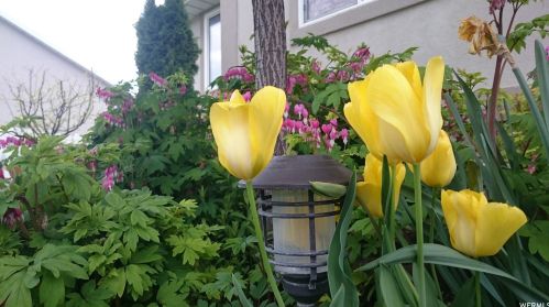 205 375, Providence UT 84332-9308 exterior