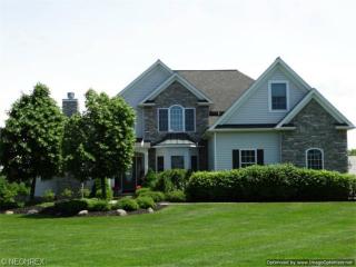 11109 Nicoles Way, Concord Township, OH 44024-9383