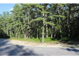 5 Chick Dr, Freedom, NH 03836-4520