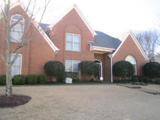 6491 Massey Pointe Cv, Memphis, TN 38120-1316