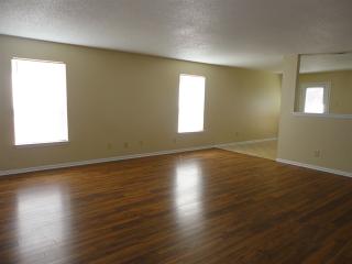 1314 Castleford Ln, Indianapolis IN  46234-3902 exterior