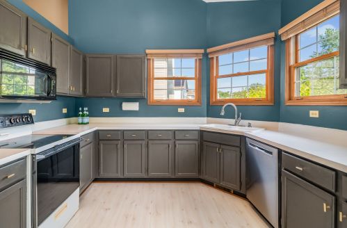 660 Tall Grass Dr, Lemont IL  60440-4217 exterior