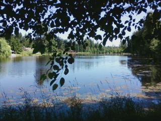 31428 61st Ave, Roy, WA 98580-9703