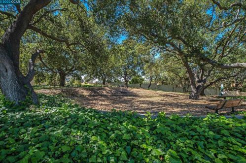 1002 Pinehurst Ct, Concord CA  94521-4532 exterior