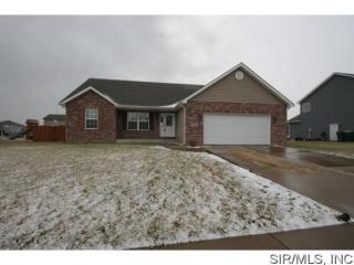 1260 Antique Ln, Mascoutah, IL 62258-2748