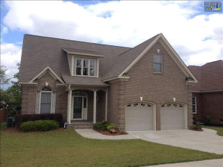 252 Keegan Rock Ct, Lexington, SC 29073-6716