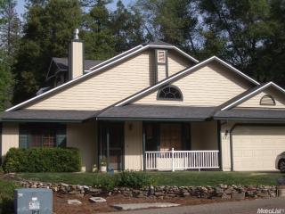 1147 Bush Ct, Swansboro Country, CA 95667-4800