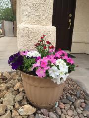 1412 Hometown Ave, Henderson NV  89074-8704 exterior