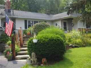 12695 Klatka Dr, Concord Township, OH 44024-8305