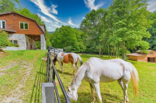 2873 Old Parker Place Rd, Ellijay, GA 30536-0049