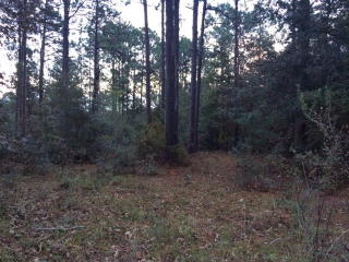 2791 Martin Dr, Donalsonville, GA 39845-5403