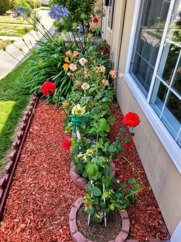 395 Don Basillo Way, San Jose, CA 95123-3106