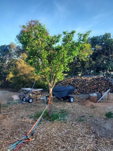 16743 Stallion Pl, Riverside CA  92504-5843 exterior