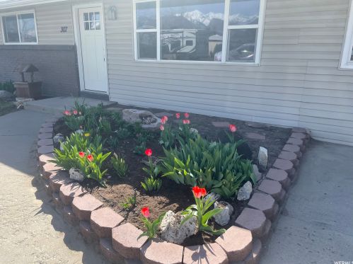 307 985, Orem, UT 84057-4559