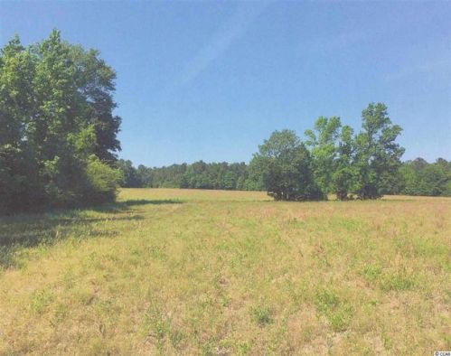 225 Cox Rd, Hemingway, SC 29554-5856
