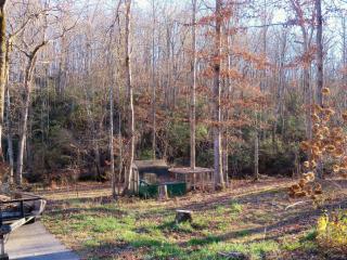 798 Maple Branch Rd, Ravenscroft, TN 38583-8535