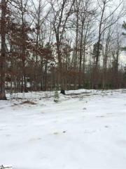 205 Cane Creek Way, Campobello, SC 29322-8943