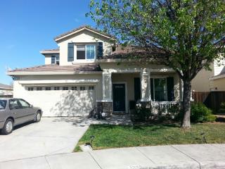 1386 Gwerder Ct, Tracy, CA 95377-7941