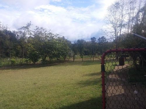 1161 Coppermine Rd, Buchanan, GA 30113-4601