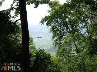 229 Stirratt Rd, Ranger, GA 30734-7762