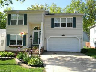 1175 Bryce Ave, Aurora OH  44202-9595 exterior