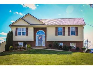 1008 Mountain Meadows Dr, Limestone, TN 37681-2340