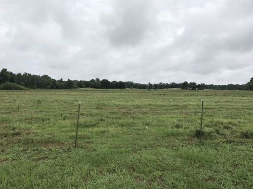140053 Bell Bottom Rd, Lexington, MS 39095