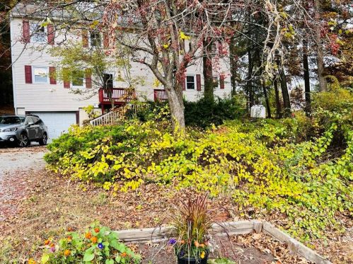 13 Strawberry Hill Rd, Derry, NH 03038-4286