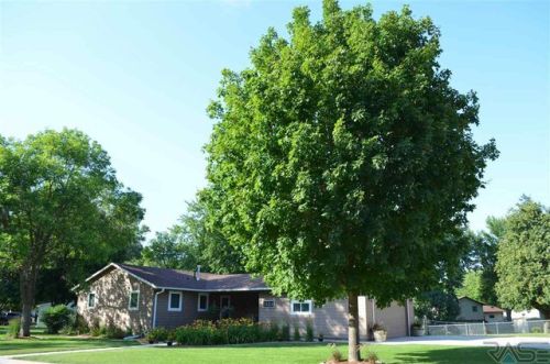 1404 Custer Pkwy, Corson, SD 57005-1530