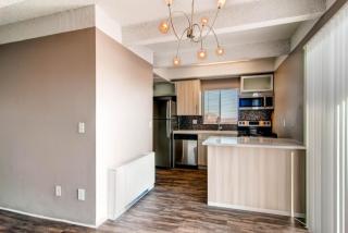 1412 Steele St, Denver CO  80206-2530 exterior