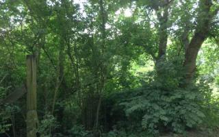 350 Old Fairview Rd, Big Canoe, GA 30143-6246
