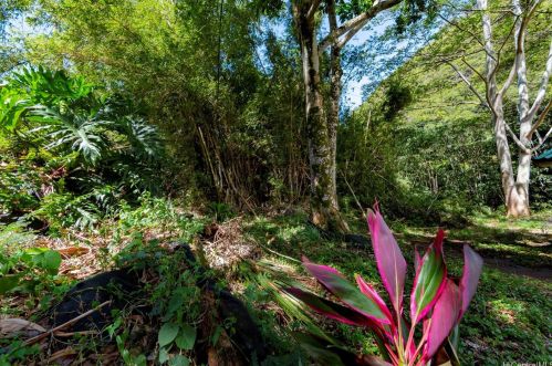 2550 Waiomao Rd, Honolulu HI 96816-3455 exterior