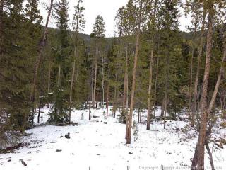 51 Independence Rd, Montezuma, CO 80435-7706