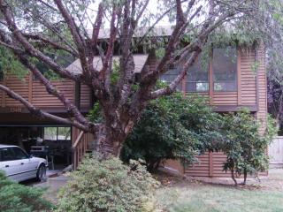 13451 110th Pl, Kirkland, WA 98034-5304