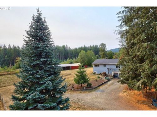 24613 Worthington Rd, Yacolt, WA 98675-4340