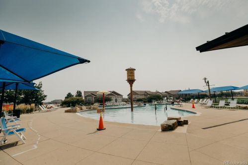 6650 Crystal Downs Dr, Fort Collins CO  80550 exterior