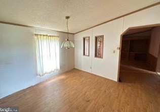 101 Grand View Rd, Three Churches WV 26757-7128 exterior