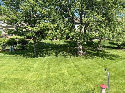 1273 Janas Ln, Lemont IL  60439-6120 exterior