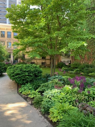 529 Melrose St, Chicago, IL 60657-3751