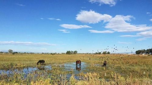 706 Avondale Blvd, Avondale CO 81022-8702 exterior