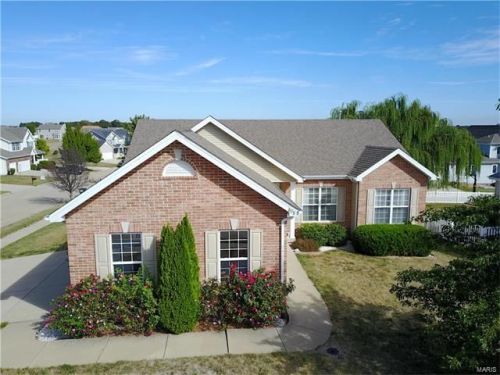 808 Blazing Star Dr, Foster Pond, IL 62298-3170