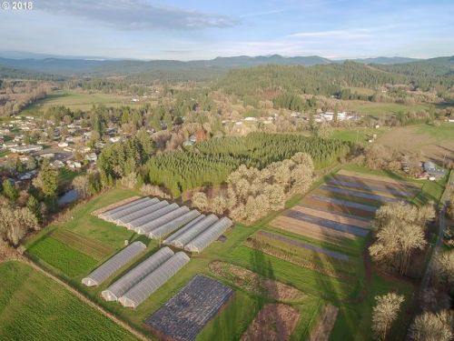 38177 Queens Rd, Marcola, OR 97454-9731