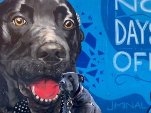 900 2nd St, Austin TX  78702-4213 exterior