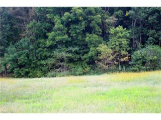 212 Lower Brush Creek Rd, Fletcher, NC 28732-8483