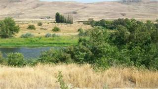 22001 716 Pr, Prosser, WA 99350-5614