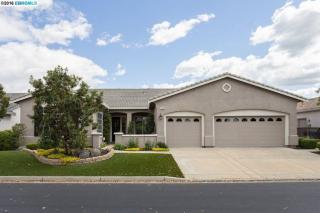 1153 Bacchini Ln, Los Angeles, CA 94513-6972