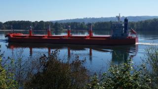 119 Old Mill Creek Rd, Longview, WA 98632-9719