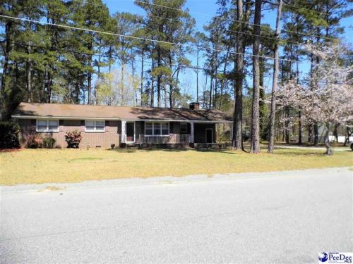 1011 Jewell Ct, Floyd Dale, SC 29536-2113